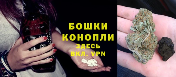 крисы Осташков