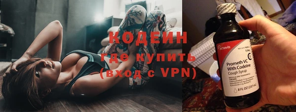 дурь Пестово