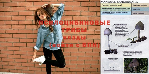 спайс Остров