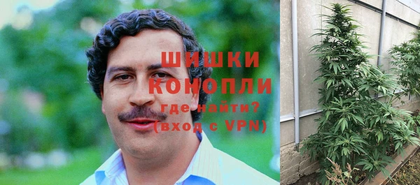 крисы Осташков