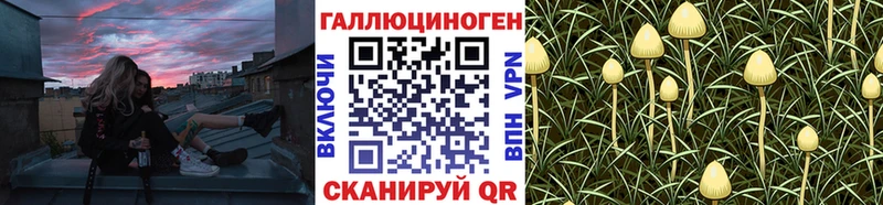 блэк спрут сайт Кирсанов Псилоцибиновые грибы GOLDEN TEACHER наркота